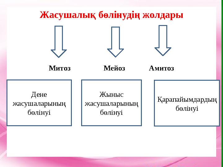 Мақсаты: 1.Оқушыларға организмдегі көбею түрлері жөнінде түсінік бере отырып, жыныссыз жолмен көбею жолына терең то