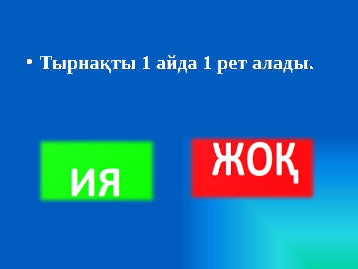 • Тырнақты 1 айда 1 рет алады.