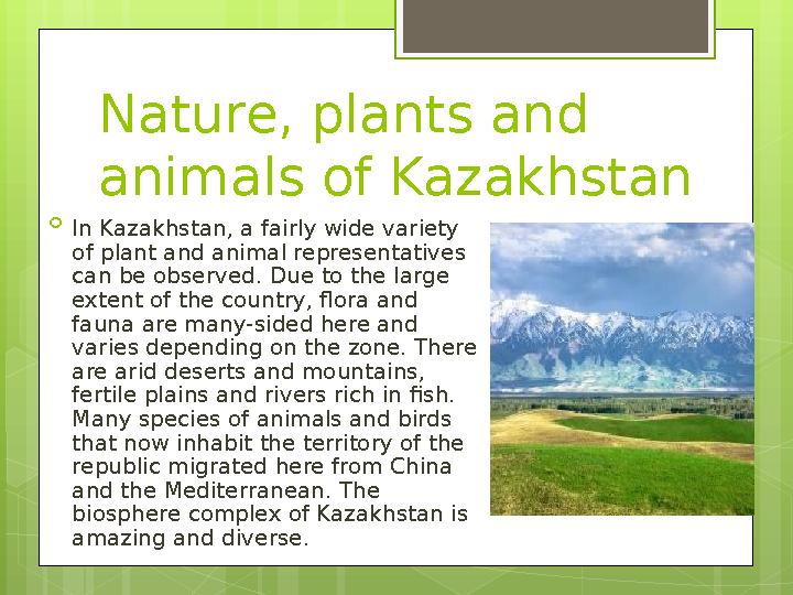 Nature, plants and animals of Kazakhstan  In Kazakhstan, a fairly wide variety of plant and animal representatives can be ob