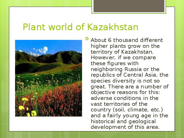 Plant world of Kazakhstan  About 6 thousand different higher plants grow on the territory of Kazakhstan. However, if we comp