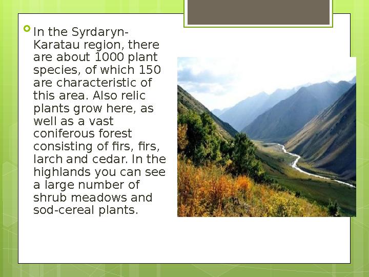  In the Syrdaryn- Karatau region, there are about 1000 plant species, of which 150 are characteristic of this area. Also re