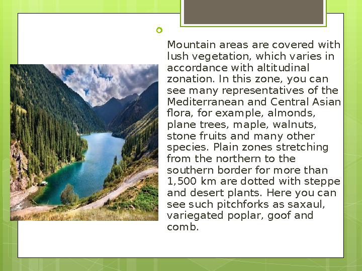  Mountain areas are covered with lush vegetation, which varies in accordance with altitudinal zonation. In this zone, you ca