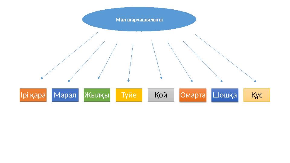 Ірі қара Марал Жылқы Түйе Қой Омарта Шошқа ҚұсМал шаруашылығы