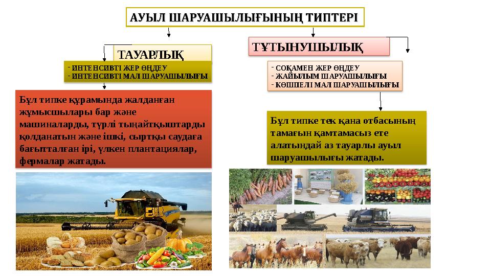 ТАУАРЛЫҚ ТҰТЫНУШЫЛЫҚ - ИНТЕНСИВТІ ЖЕР ӨҢДЕУ - ИНТЕНСИВТІ МАЛ ШАРУАШЫЛЫҒЫ Бұл типке құрамында жалданған жұмысшылары бар және