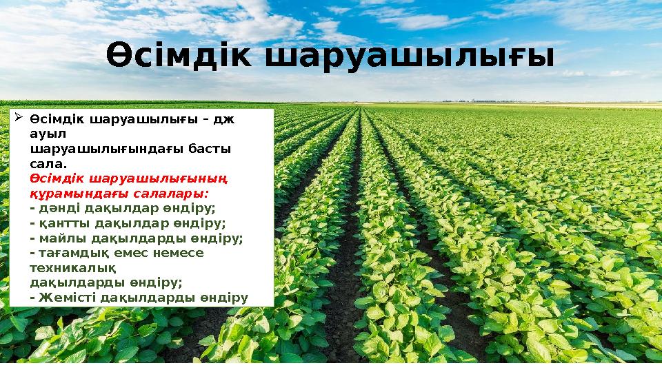 Өсімдік шаруашылығы  Өсімдік шаруашылығы – дж ауыл шаруашылығындағы басты сала. Өсімдік шаруашылығының құрамындағы салалары: