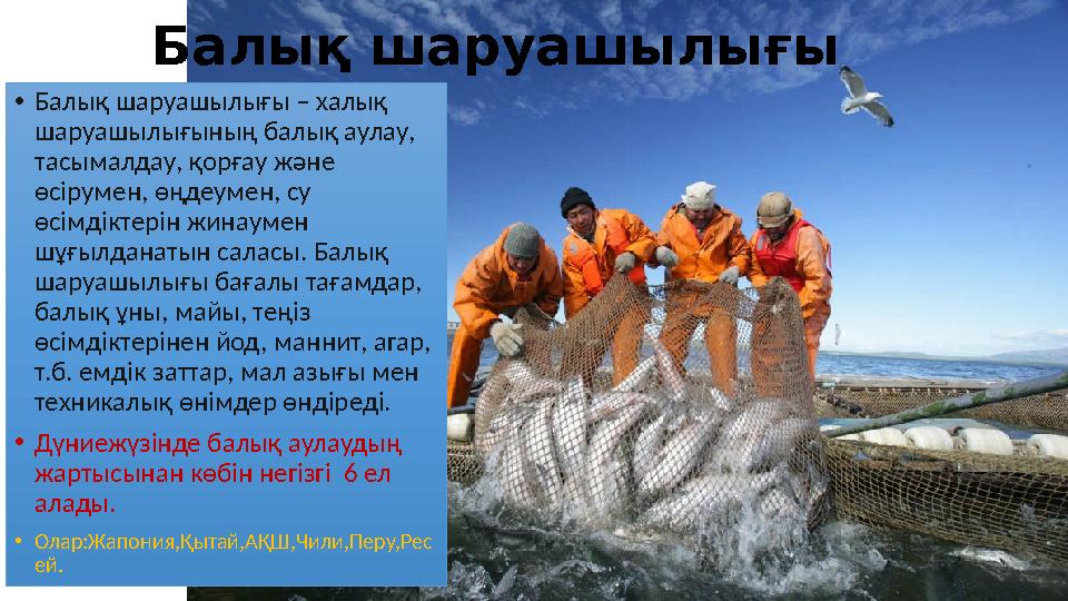 • Балық шаруашылығы – халық шаруашылығының балық аулау, тасымалдау, қорғау және өсірумен, өңдеумен, су өсімдіктерін жинаумен