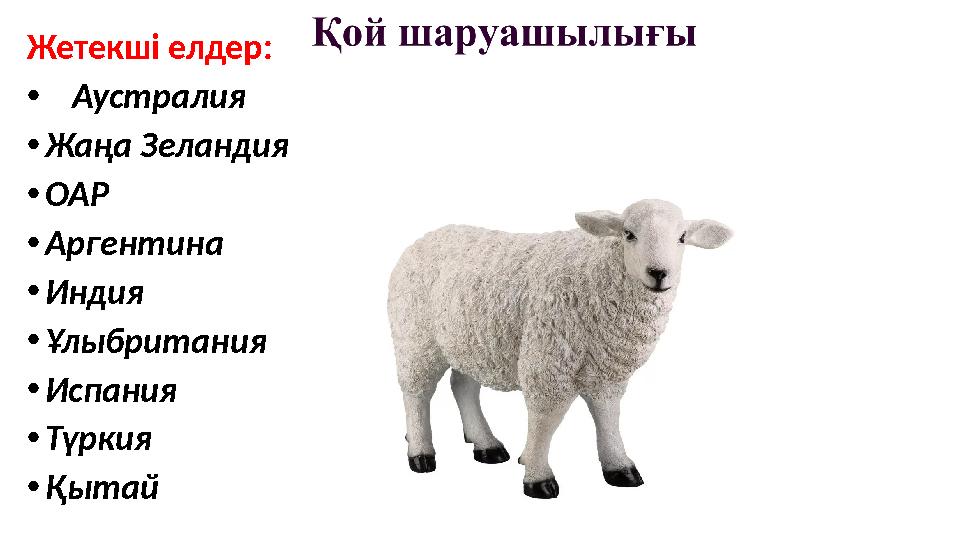 Жетекші елдер: • Аустралия • Жаңа Зеландия • ОАР • Аргентина • Индия • Ұлыбритания • Испания • Түркия • Қытай