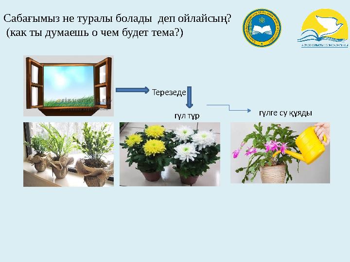 Мастурбацияны немен ауыстыруға болады Жалаңаш бачата бишілері ххх