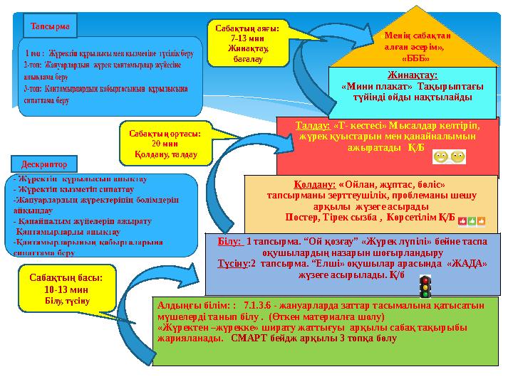 « Менің сабақтан алған әсерім», «БББ» Білу: 1 тапсырма. “Ой қозғау” «Жүрек лүпілі» бейне таспа оқушылардың назарын шоғы