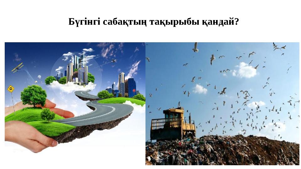 «Махаббат қызбасы» фильміндегі секс көріністері