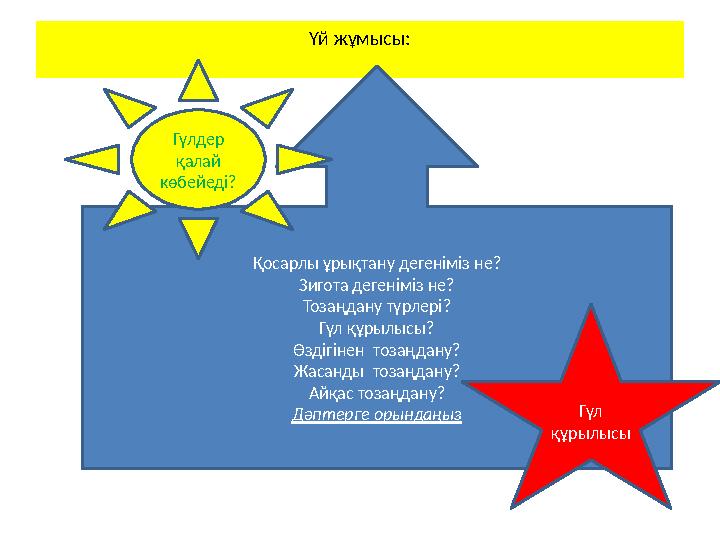 Үй жұмысы: Қосарлы ұрықтану дегеніміз не? Зигота дегеніміз не? Тозаңдану түрлері? Гүл құрылысы? Өздігінен тозаңдану? Жасанды т