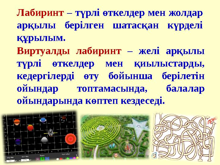 Камминг тобының бетіндегі сперматозоидтардың фотосы