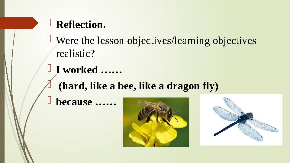  Reflection.  Were the lesson objectives/learning objectives realistic?  I worked ……  (hard, like a bee, like a dragon