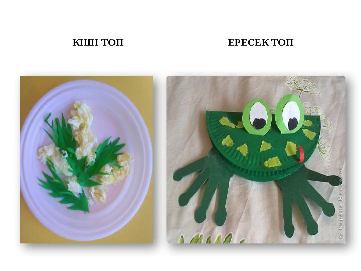 КІШІ ТОП ЕРЕСЕК ТОП