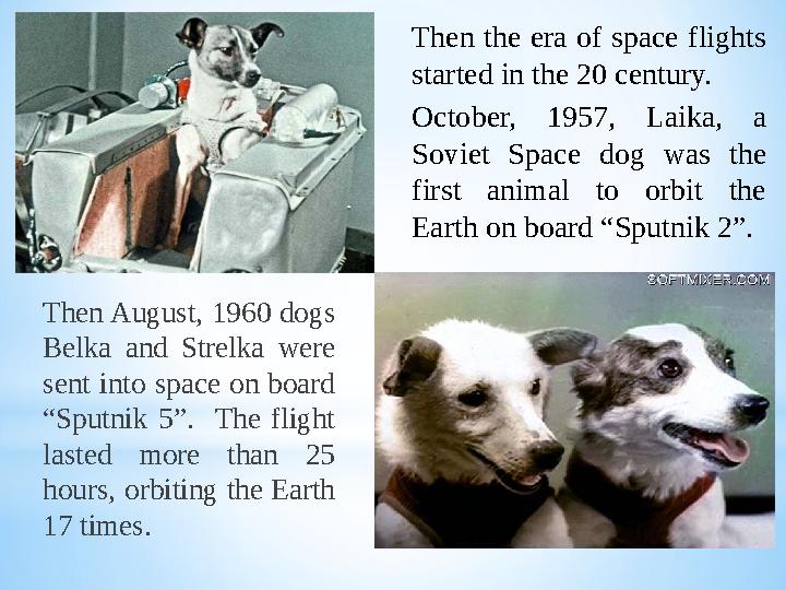 Then August, 1960 dogs Belka and Strelka were sent into space on board “Sputnik 5”. The flight lasted more tha