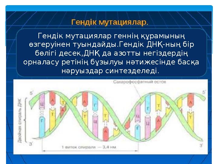 Гендік мутация Генд ік мутациялар геннің құрамының өзгеруінен туындайды.Гендік ДНҚ-ның бір бөлігі десек,ДНҚ да азотты негізде