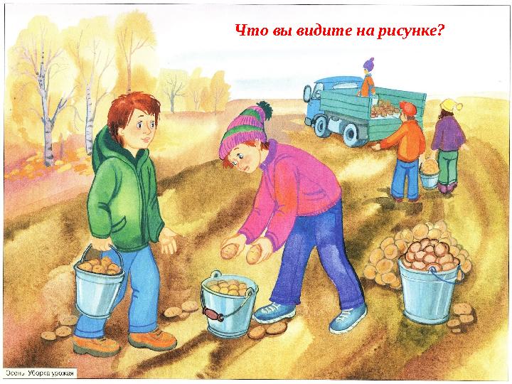 Что вы видите на рисунке?