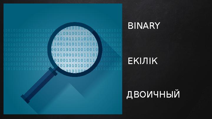 BINARY ЕКІЛІК ДВОИЧНЫЙ