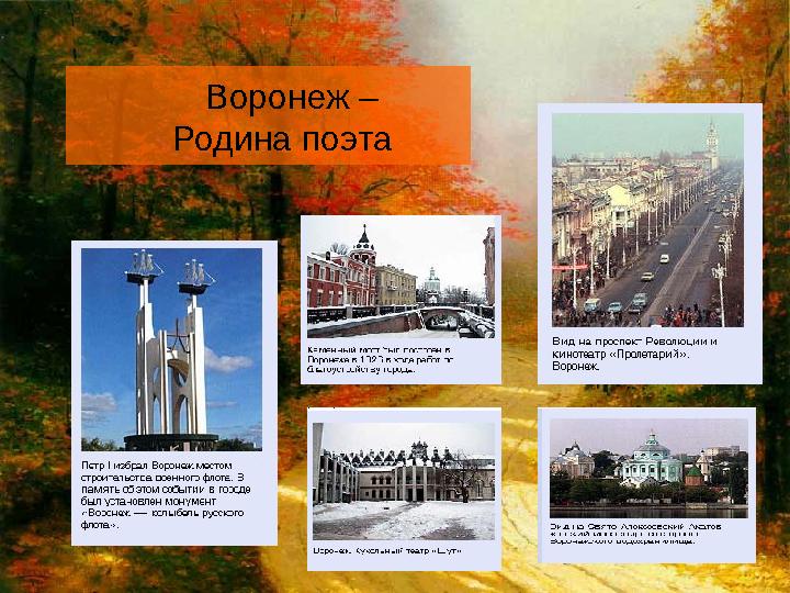 Воронеж – Родина поэта