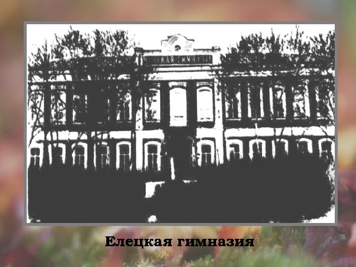 Елецкая гимназия