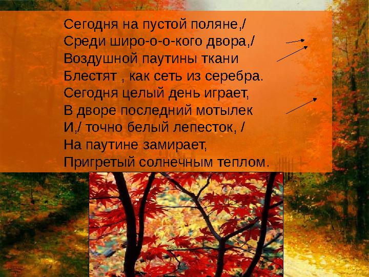 Сегодня на пустой поляне,/ Среди широ-о-о-кого двора,/ Воздушной паутины ткани