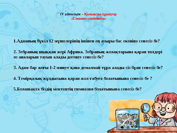 ІV айналым – Қызықты сұрақтар «Cенемін сенбеймін» 1.Адамның бүкіл 12 мүшелерінің ішінен ең ауыры бас екеніне сенесіз бе? 2. З