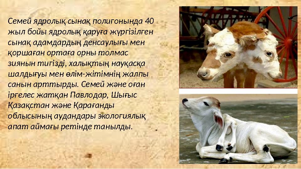 Семей ядролық сынақ полигонында 40 жыл бойы ядролық қаруға жүргізілген сынақ адамдардың денсаулығы мен қоршаған ортаға орны т