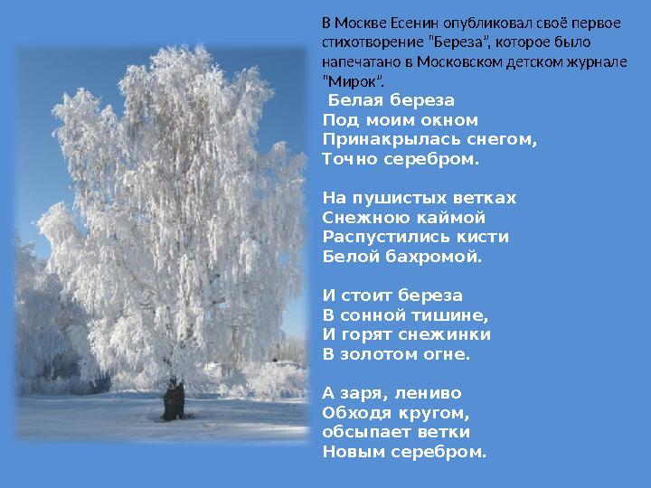 В Москве Есенин опубликовал своё первое стихотворение “Береза”, которое было напечатано в Московском детском журнале “Мирок”.
