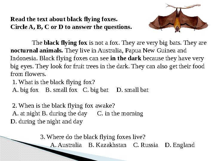 Read the text about black flying foxes. Circle A, B, C or D to answer the questions. The black flying fox is not a fox. They