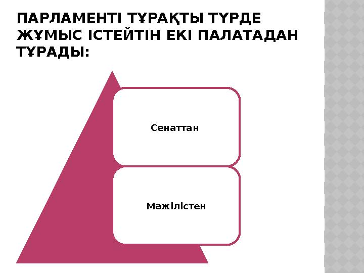 ПАРЛАМЕНТІ ТҰРАҚТЫ ТҮРДЕ ЖҰМЫС ІСТЕЙТІН ЕКІ ПАЛАТАДАН ТҰРАДЫ: Сенаттан Мәжілістен