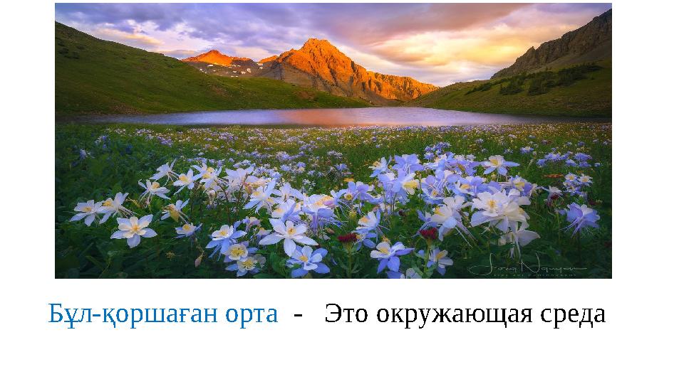 Бұл-қоршаған орта - Это окружающая среда