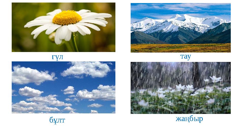 гүл бұлт жаңбыр тау