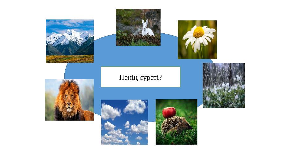 Ненің суреті?