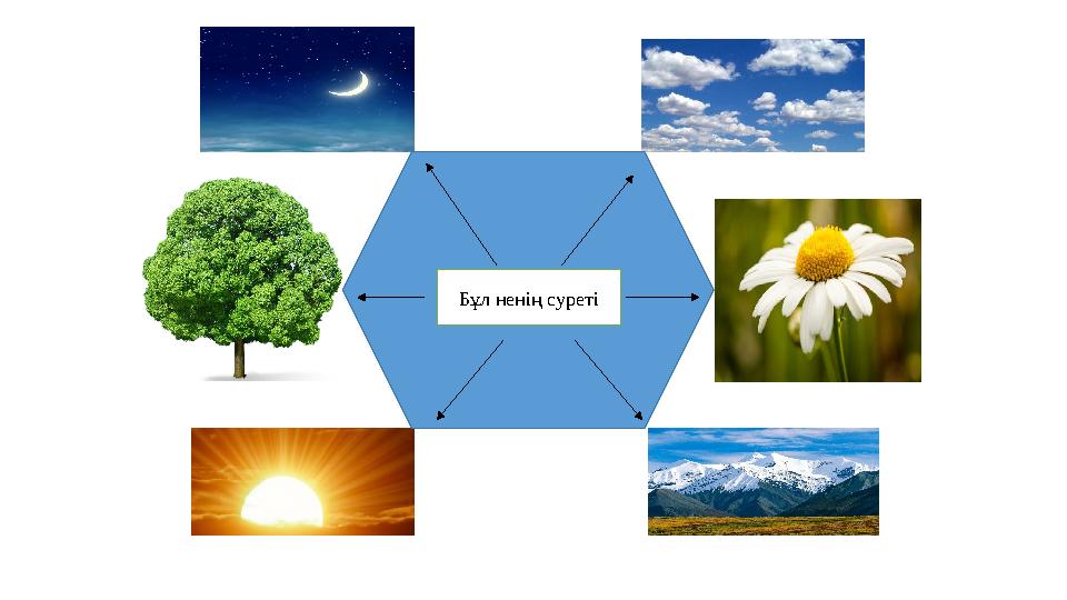 Бұл ненің суреті ? Бұл ненің суреті Бұл ненің суреті ? Бұл ненің суреті