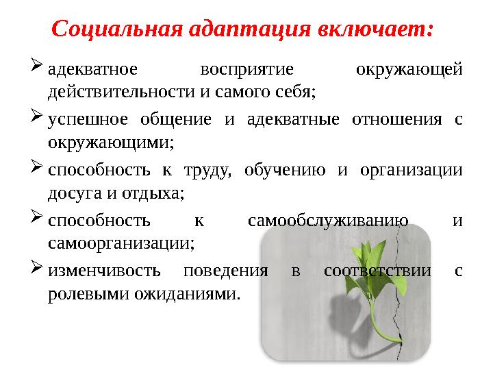 Социальная адаптация включает:  адекватное восприятие окружающей действительности и самого себя;  успешное общение и ад