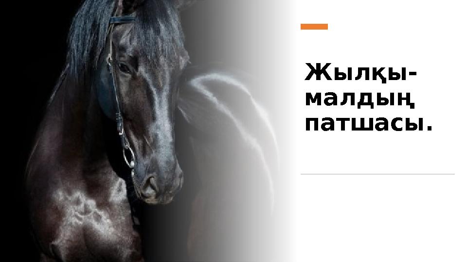 Жылқы- малдың патшасы.