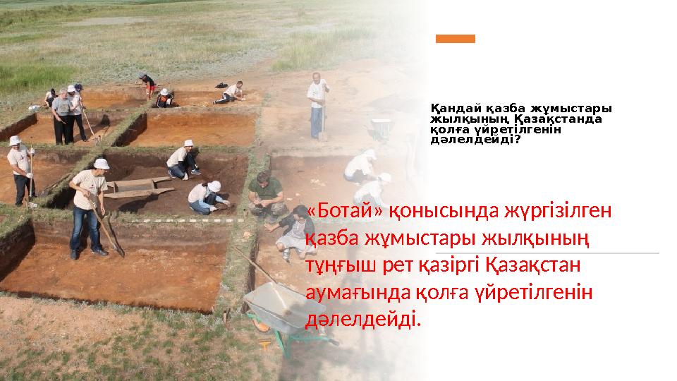 Қандай қазба жұмыстары жылқының Қазақстанда қолға үйретілгенін дәлелдейді? «Ботай» қонысында жүргізілген қазба жұмыстары жыл