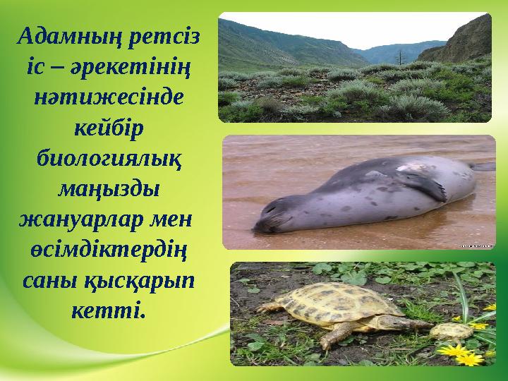 Адамның ретсіз іс – әрекетінің нәтижесінде кейбір биологиялық маңызды жануарлар мен өсімдіктердің саны қысқарып кетті.