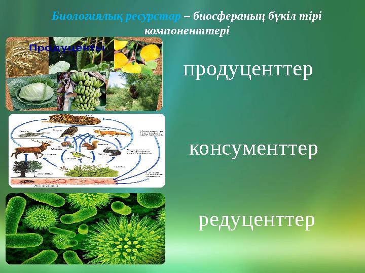 Биологиялық ресурстар – биосфераның бүкіл тірі компоненттері продуценттер консументтер редуценттер