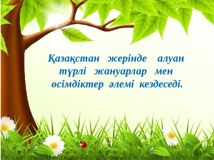 Қазақстан жерінде алуан түрлі жануарлар мен өсімдіктер әлемі кездеседі.