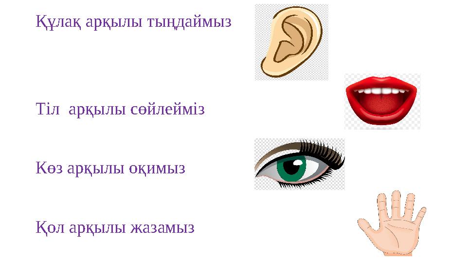 Құлақ арқылы тыңдаймыз Тіл арқылы сөйлейміз Көз арқылы оқимыз Қол арқылы жазамыз