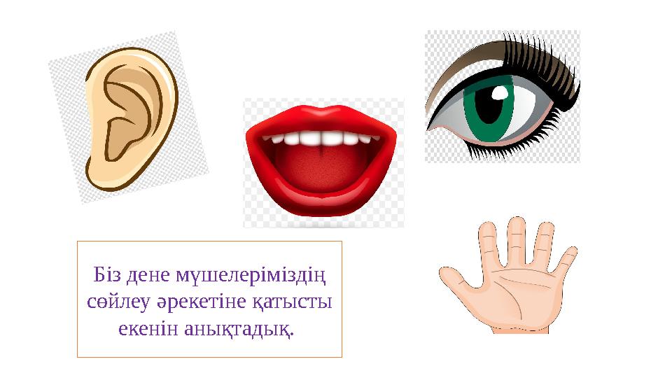 Біз дене мүшелеріміздің сөйлеу әрекетіне қатысты екенін анықтадық.