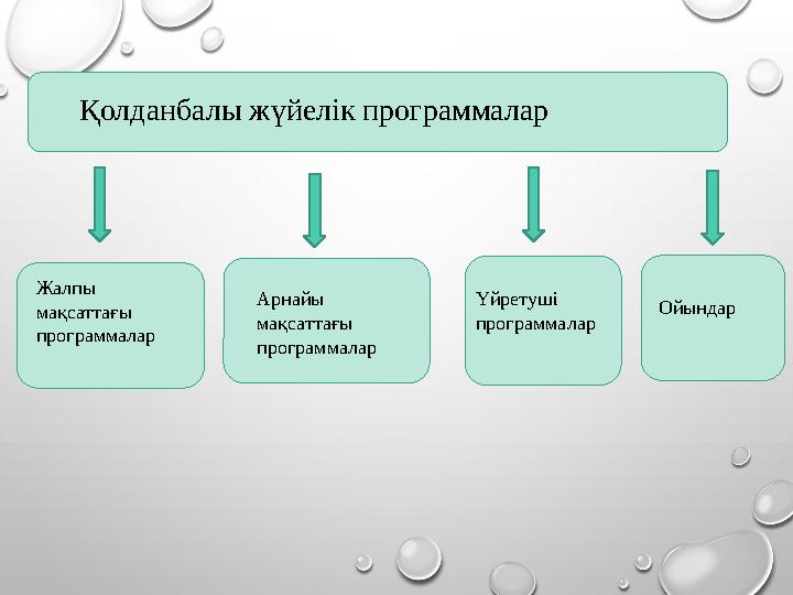 Қолданбалы жүйелік программалар Жалпы мақсаттағы программалар Арнайы мақсаттағы программалар Үйретуші программалар Ойындар