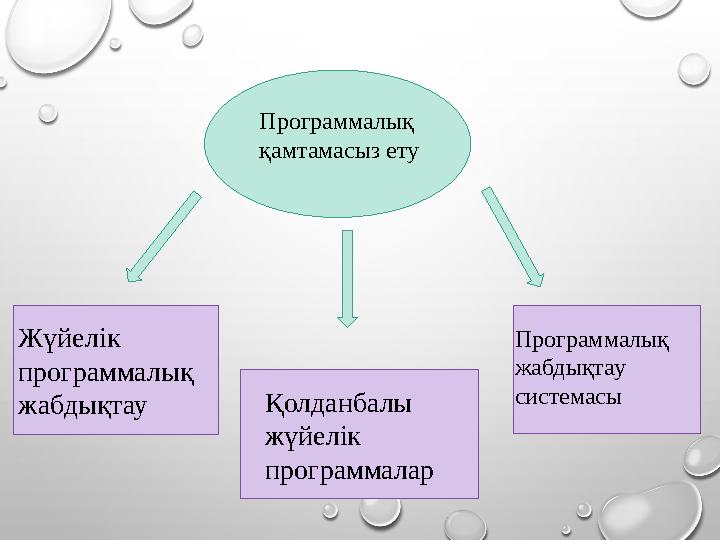 Программалық қамтамасыз ету Жүйелік программалық жабдықтау Қол д анбалы жүйелік программалар Программалық жабдықтау систе