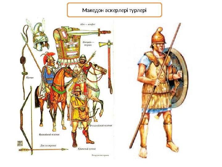 Македон әскерлері түрлері
