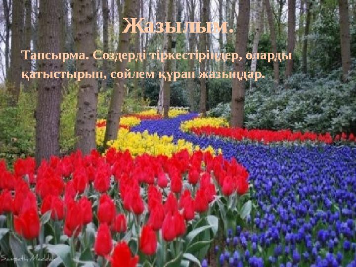 Жазылым. Тапсырма. Сөздерді тіркестіріңдер, оларды қатыстырып, сөйлем құрап жазыңдар.