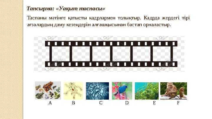 Тапсырма: «Уақыт таспасы» Таспаны мәтінге қатысты кадрлармен толықтыр. Кадрда жердег і тірі ағзалардың даму кезеңдерін