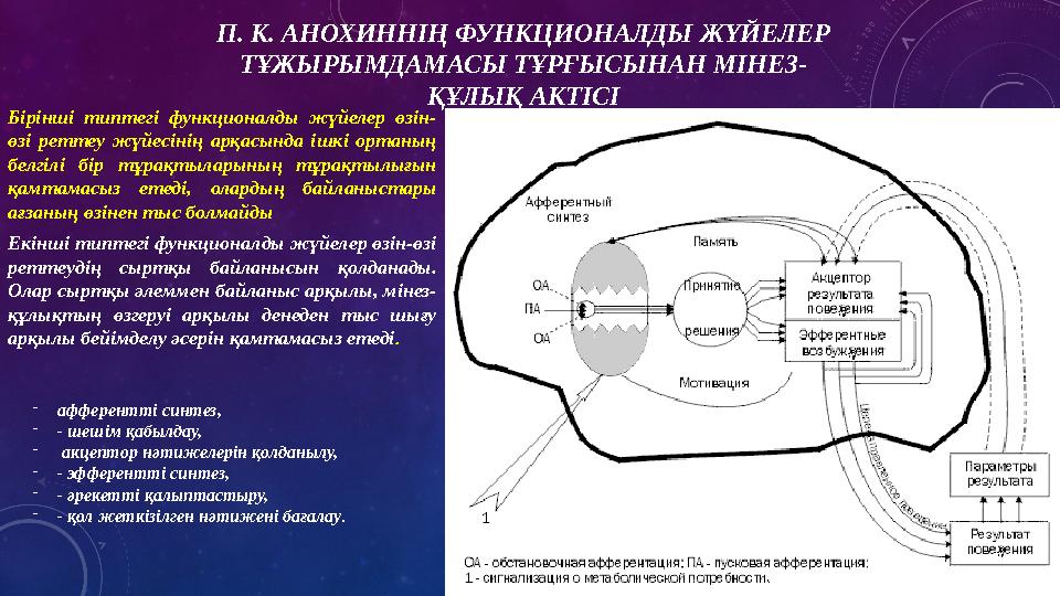 Бірінші типтегі функционалды жүйелер өзін- өзі реттеу жүйесінің арқасында ішкі ортаның белгілі бір тұрақтыларының т