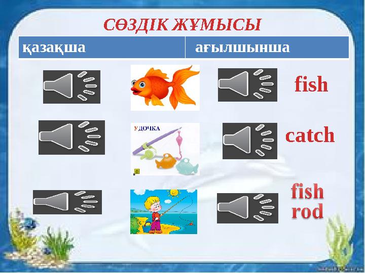 СӨЗДІК ЖҰМЫСЫ fish catchқазақша ағылшынша