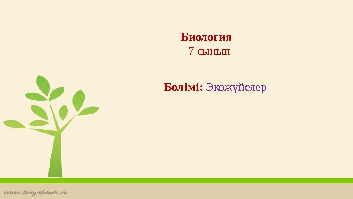 Бикини трусикасы мен жалаңаш қыздардың фотосуреттері.